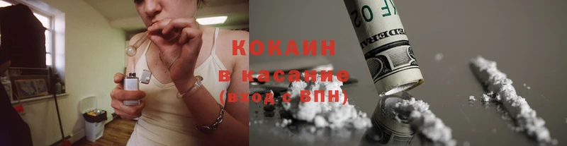 COCAIN Fish Scale  где продают   Бодайбо 